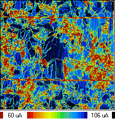 980nm IRレーザー：LBIC